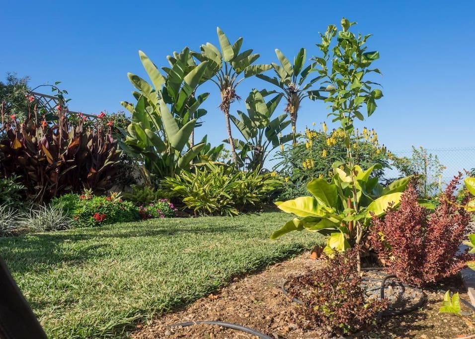 Casa Vina: A Spectacular Away From It All Holiday La Orotava Exterior photo
