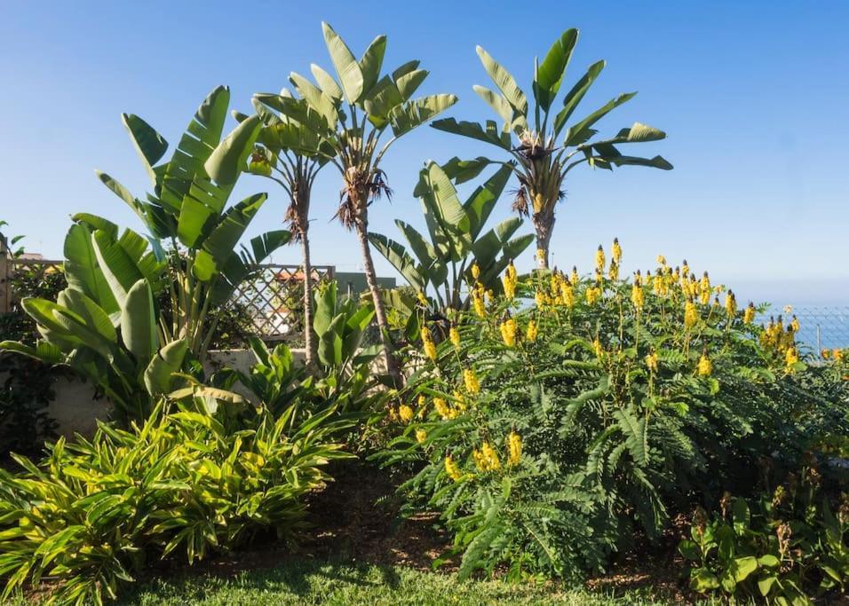 Casa Vina: A Spectacular Away From It All Holiday La Orotava Exterior photo