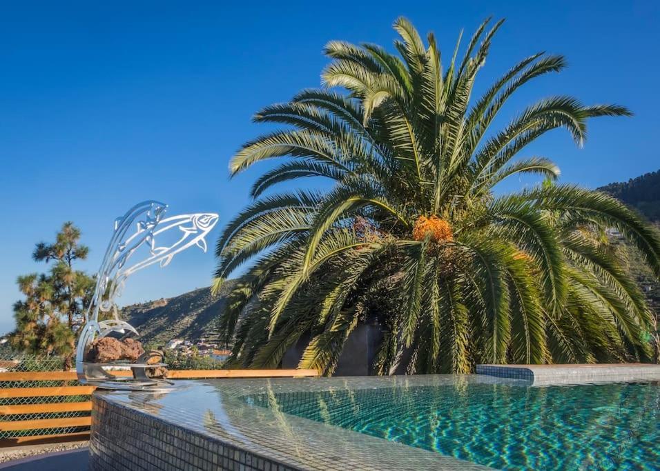 Casa Vina: A Spectacular Away From It All Holiday La Orotava Exterior photo